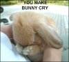 bunny_cry.jpg