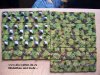 Flames of War Platten 009.jpg